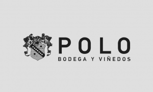 Polo Bodega y viñedos