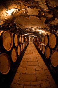 Barricas de roble en bodega